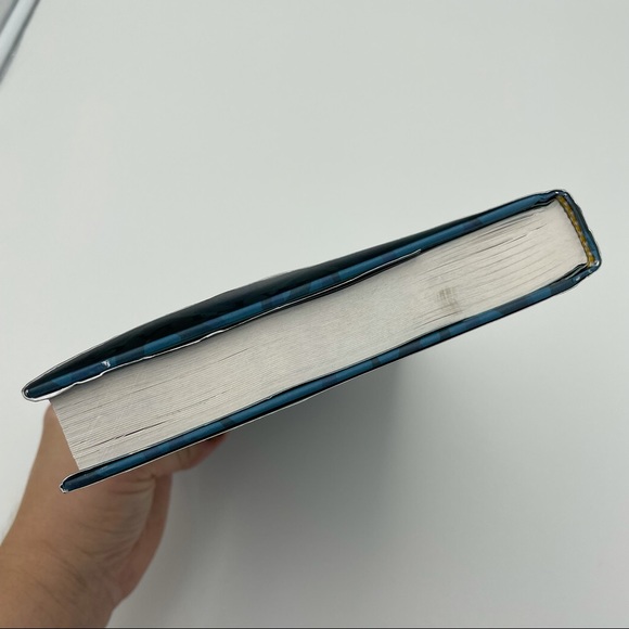 The Ickabog by J K Rowlings Children’s Book - Picture 5 of 6